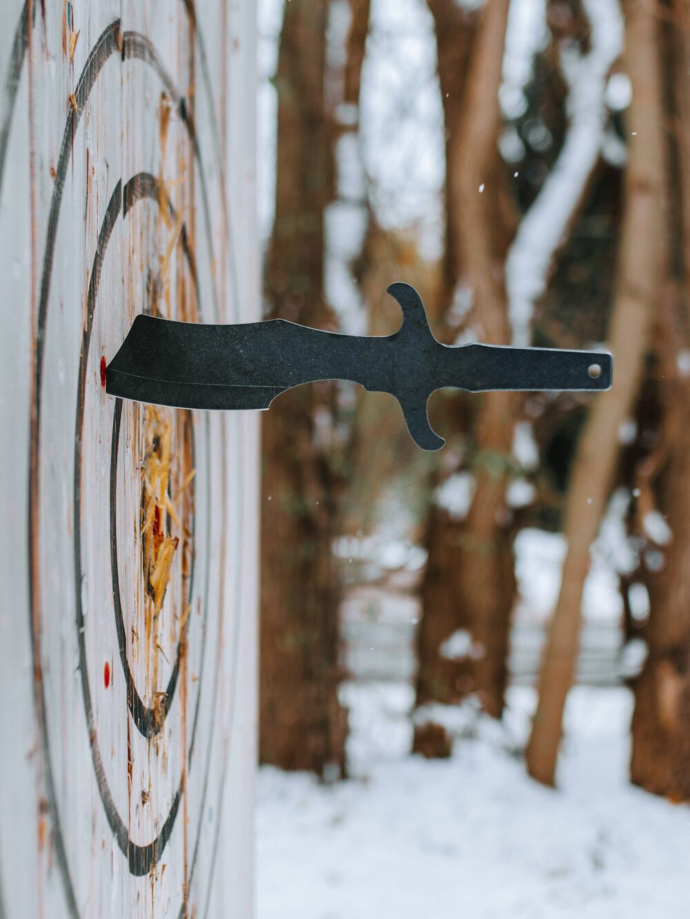 A knife thrown into an outdoor target at a community space